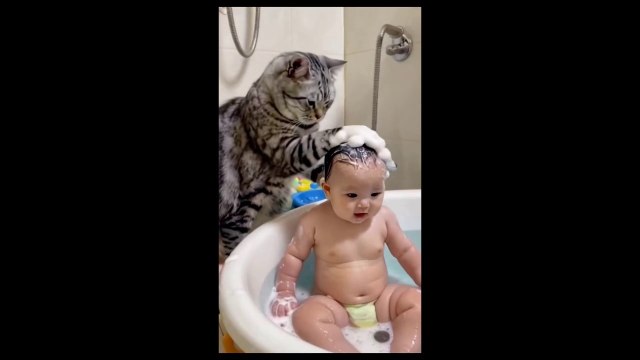 EMOCIONANTE, FANTASTICO, ESPECTACULAR, NIÑOS, NIÑAS, GATOS, PERROS, TODO MUY DIVERTIDO