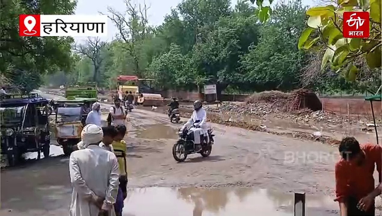 हरियाणा में तेज आंधी-बारिश से तबाही, जगह-जगह गिरे पेड़, भिवानी और चरखी दादरी में रास्ते-बिजली प्रभावित