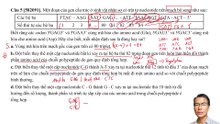 Sinh 12 - Chuyên đề đột biến gene P2