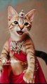 Heart-touching Cute Kitten Dance 🐾 #shorts #kittenrescue #animalrescue #kittenrevenge
