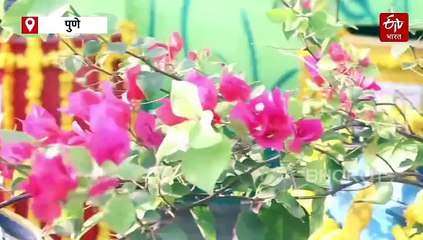 पुण्यात कचऱ्यातून फुलवले सुंदर व हिरवेगार टेरेस गार्डन, पर्यावरण पूरक उपक्रमासाठी पालिका देणार प्रोत्साहन