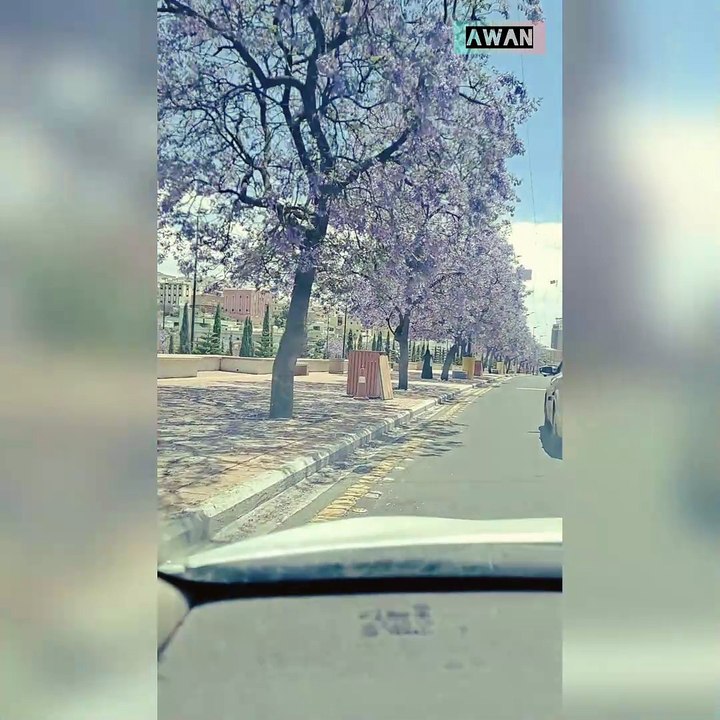 #Islamic #shorts #dailymotion_shorts #viral