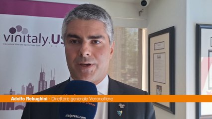 Dazi, Rebughini "L'industria del vino è estremamente resiliente"