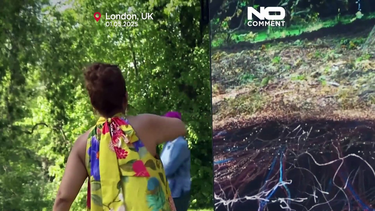 Historische Eiche in Kew Gardens als digitales Kunstwerk neu interpretiert