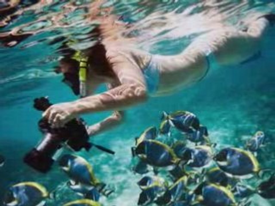 Jamaican Treasures - Private Luxury Villa Rentals in Jamaica