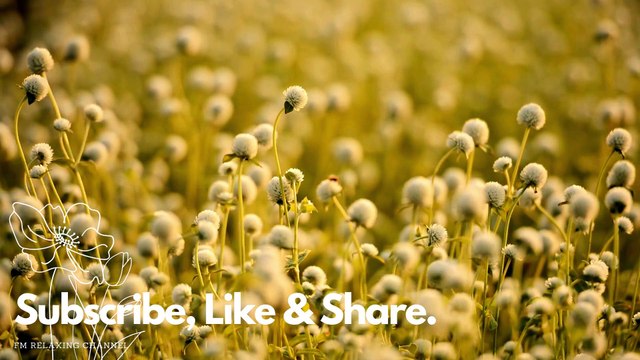 Beautiful Relaxing Music for Stress Relief ~ Calming Music ~ Meditation, Relaxation, Sleep, Spa , Stress Relief