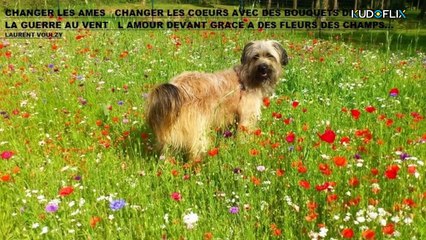 2- Concours d'avril 2025