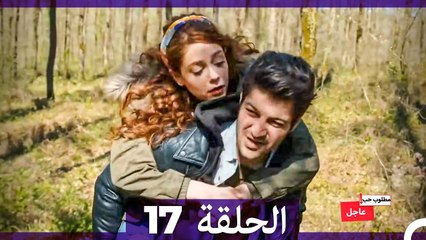 مطلوب حب عاجل الحلقة 17 (Arabic Dubbed)
