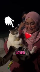 Cute Cat Cries when his TOY gets taken away 🥺❤ #shorts #cat #funnycats