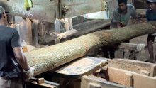 Perfect Yield of 5x5 Wood with Sawmill Machine
