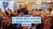 La Inteligencia alemana clasifica a Alternativa para Alemania como 