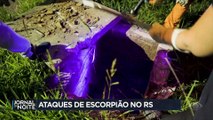 Rio Grande do Sul enfrenta infestação de escorpiões