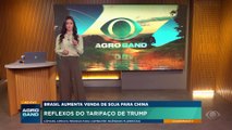Tarifaço dos EUA: Brasil aumenta venda de soja para a China