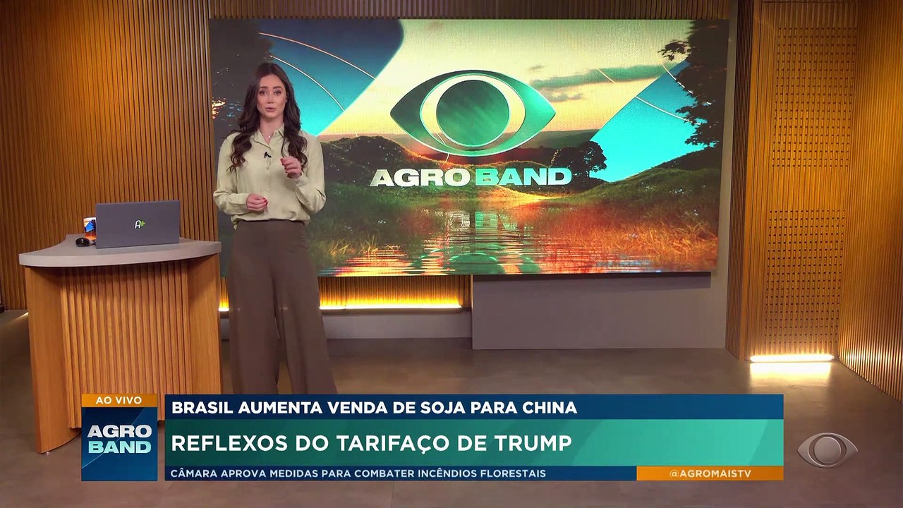 Tarifaço dos EUA: Brasil aumenta venda de soja para a China