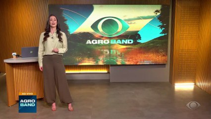 Giro Brasil: Embrapa vai lançar novo sorgo granífero