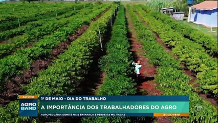 Dia do Trabalho: a importância dos trabalhadores do agro