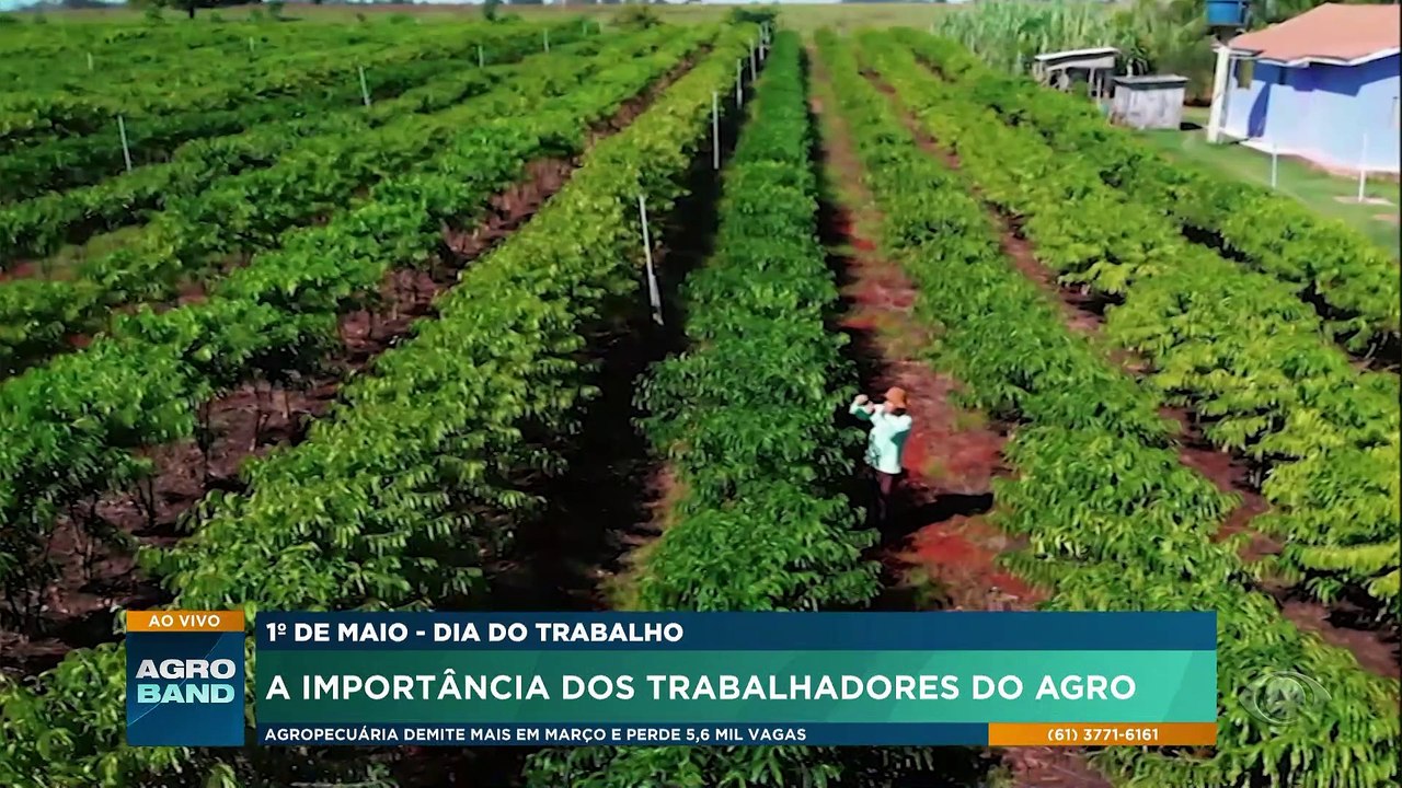 Dia do Trabalho: a importância dos trabalhadores do agro