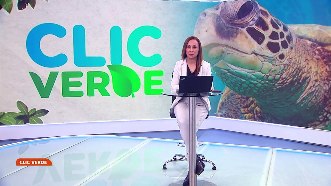 Conservación de especies