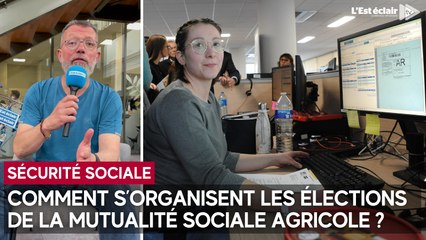 Comment s’organisent les élections de la Mutualité sociale agricole ?