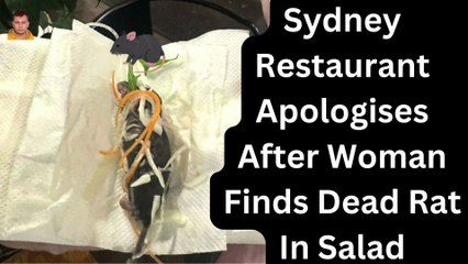 Sydney Restaurant Apologises After Woman Finds Dead Rat In Salad