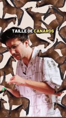 Vraiment sans hésitation, je choisis les chevaux 😬