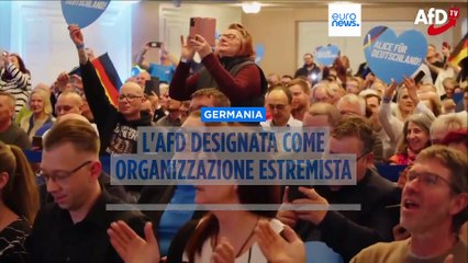 Germania, l'AfD designato come "una minaccia per la democrazia"