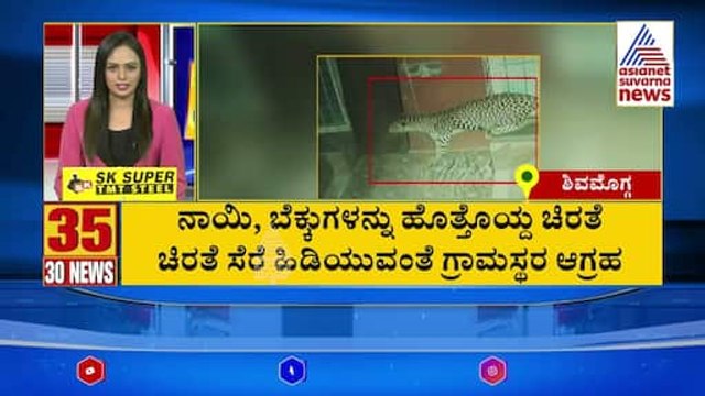 ನಾಯಿ, ಬೆಕ್ಕುಗಳನ್ನು ಹೊತ್ತೊಯ್ದ ಚಿರತೆ | Suvarna 30 News | Kannada News | Suvarna News