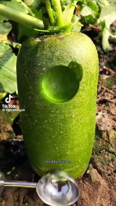Viral life hacks 😱😱😱😱😱😱😱😱