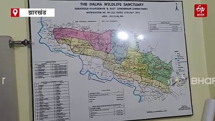 वन विभाग की अपील सेंदरा पर्व पर जानवरों न करें शिकार, इको विकास समितियों को अधिकारी कर रहे जागरूक