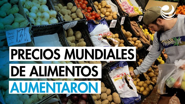 Los precios mundiales de los alimentos aumentaron en abril por alza de los cereales, carne y lácteos