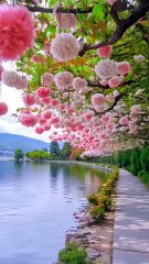 Natural beauty live here live well