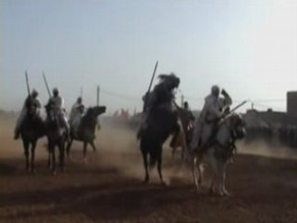 TBorida had drra