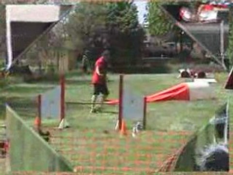 Agility (Open et G.P.F. de Solgne) avec club de Ham