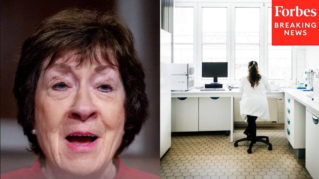 ‘There Is No Investment That Pays Greater Dividends’: Susan Collins Demands Continued NIH Research Funding