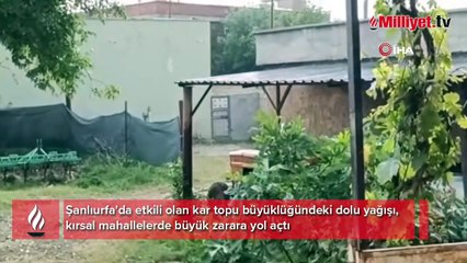 Kar topu büyüklüğünde dolu! Araçların camları kırıldı