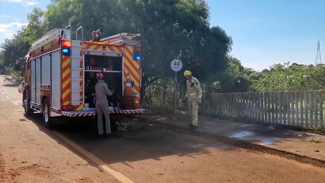Incêndio em vegetação no Periolo mobiliza Corpo de Bombeiros