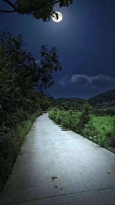 Moonlit Road: A Journey Under Silver Skies