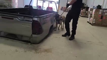 Droga estava camuflada em fundo falso de caminhonete em Fortaleza