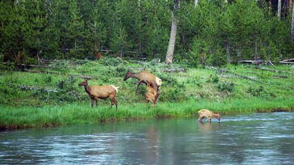 YELLOWSTONE-  ONE-FIFTY - S01E03