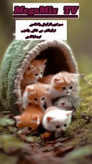 ISLAMIC CONTENT The One Who Tests You Will Also Rescue You