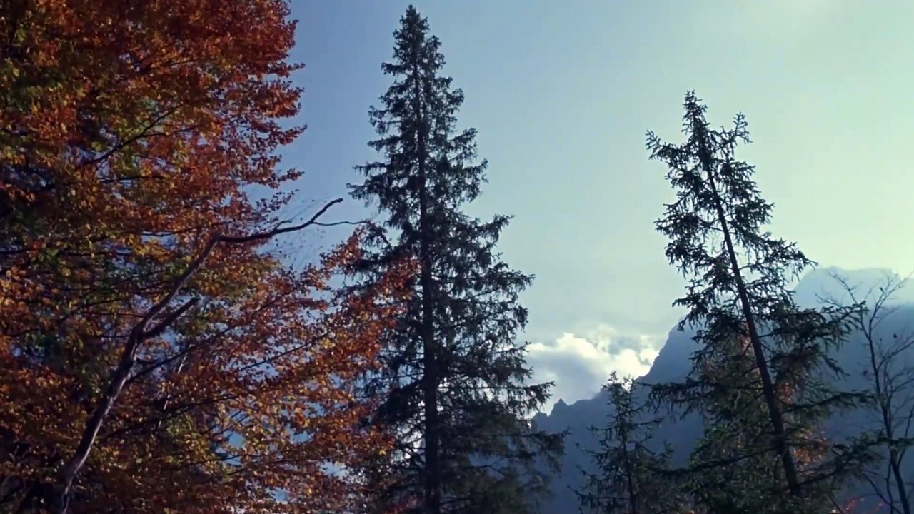 Heidi - HD (2005)