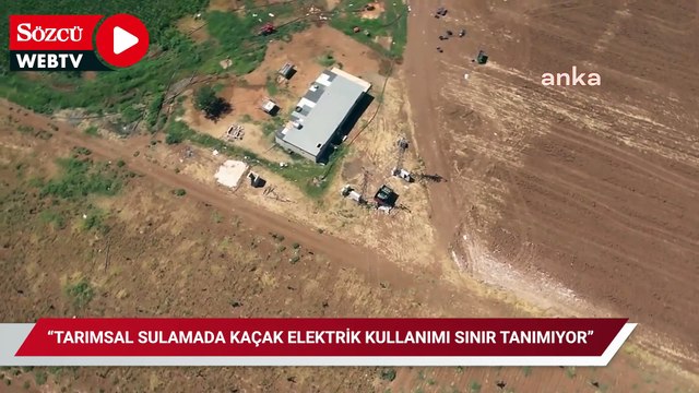 Dicle Elektrik: “Tarımsal sulamada kaçak elektrik kullanımı sınır tanımıyor”