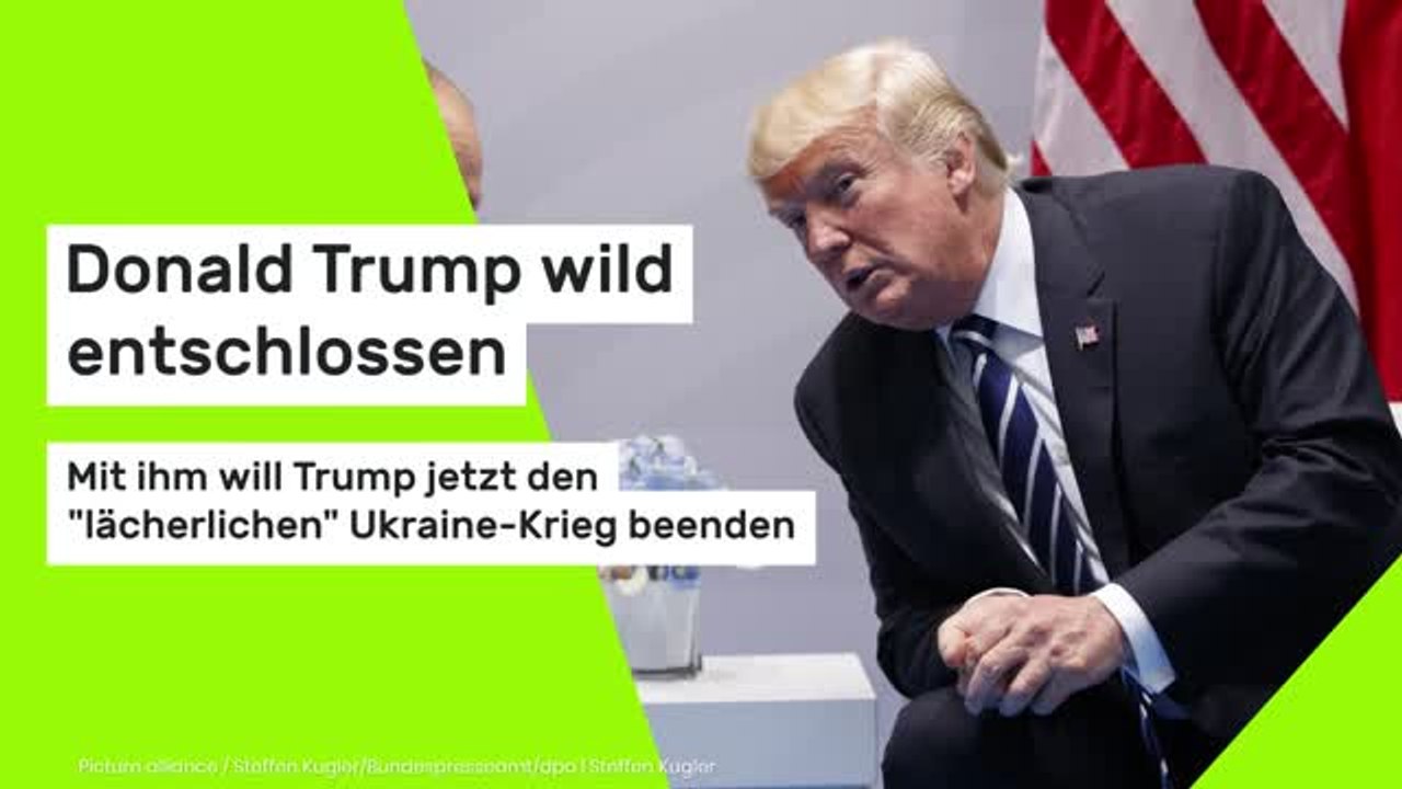 Donald Trump wild entschlossen: Mit ihm will Trump jetzt den 'lächerlichen' Ukraine-Krieg beenden