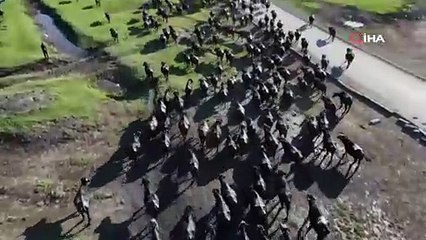 Mandaların belgesel tadında yolculuğu böyle görüntülendi!