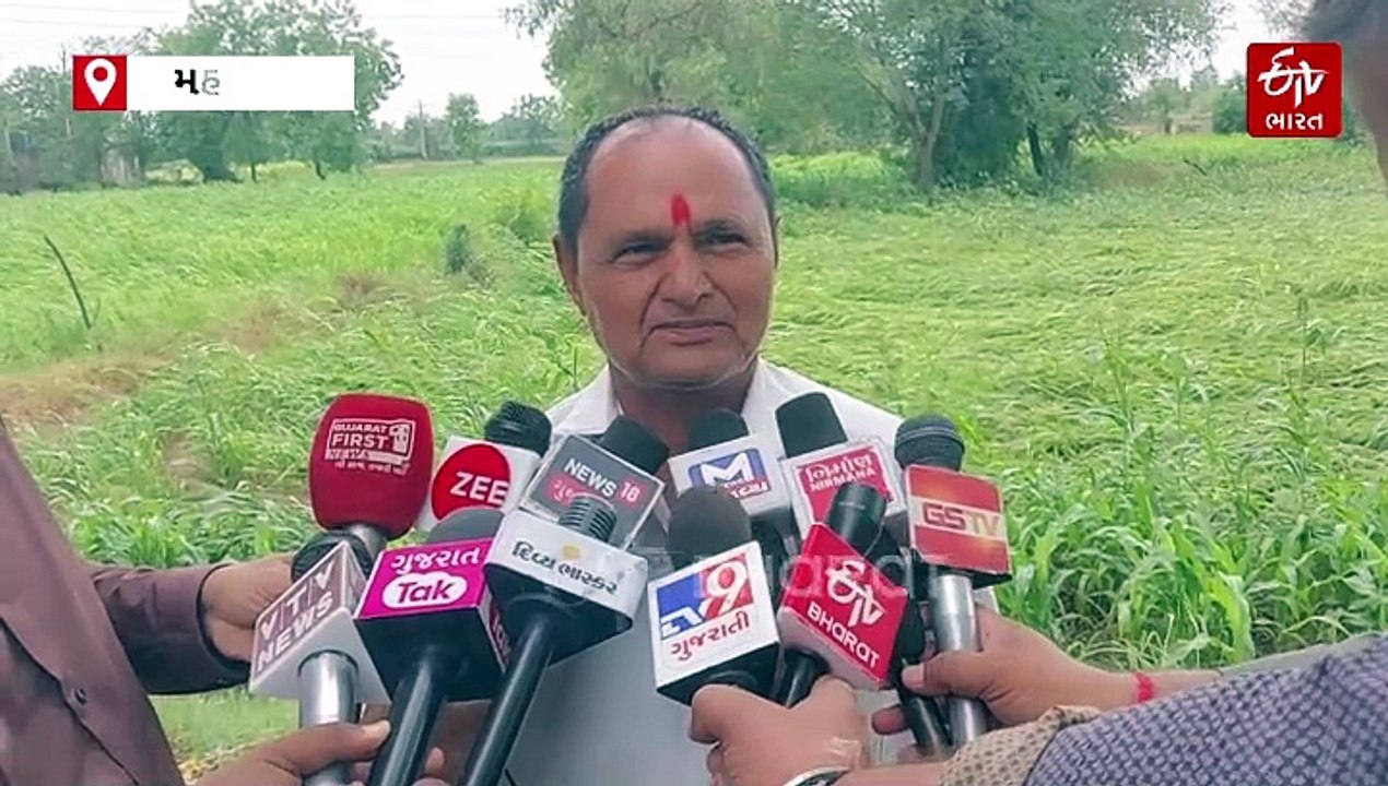 મહેસાણામાં માવઠું પડવાથી, ખેડૂતોને ઉભા પાકમાં મોટું નુકશાન વેઠવાનો વારો આવ્યો