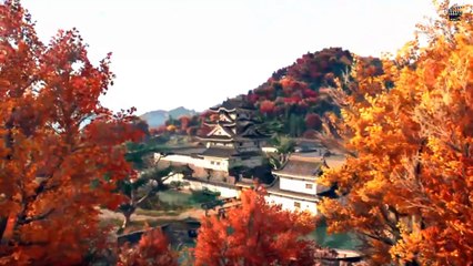 Assassin's Creed Shadows Ch 20: Nagahide Task