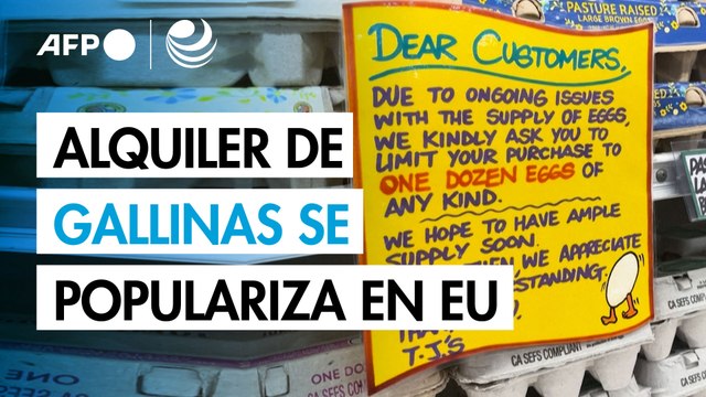 Alquiler de gallinas se populariza en EU por alza del precio de los huevos