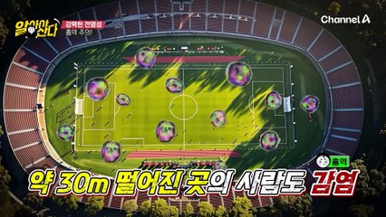 ※면역력이 떨어지면 기억력도 떨어진다고?!※ 면역력과 기억력의 상관관계