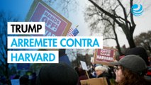Trump retira exención fiscal por protestas sobre Gaza a Harvard