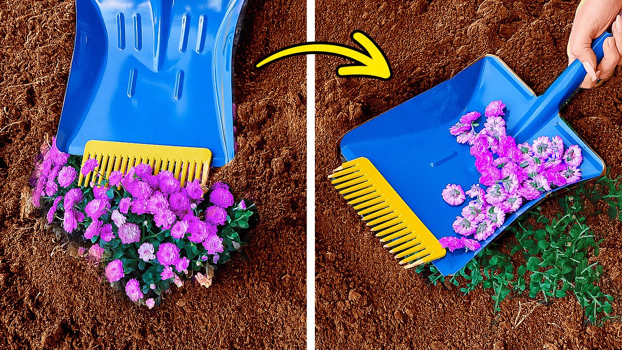 ASTUCES DE JARDINAGE POUR L'ÉTÉ 🌸🌿 CONSEILS POUR FAIRE POUSSER VOS PLANTES